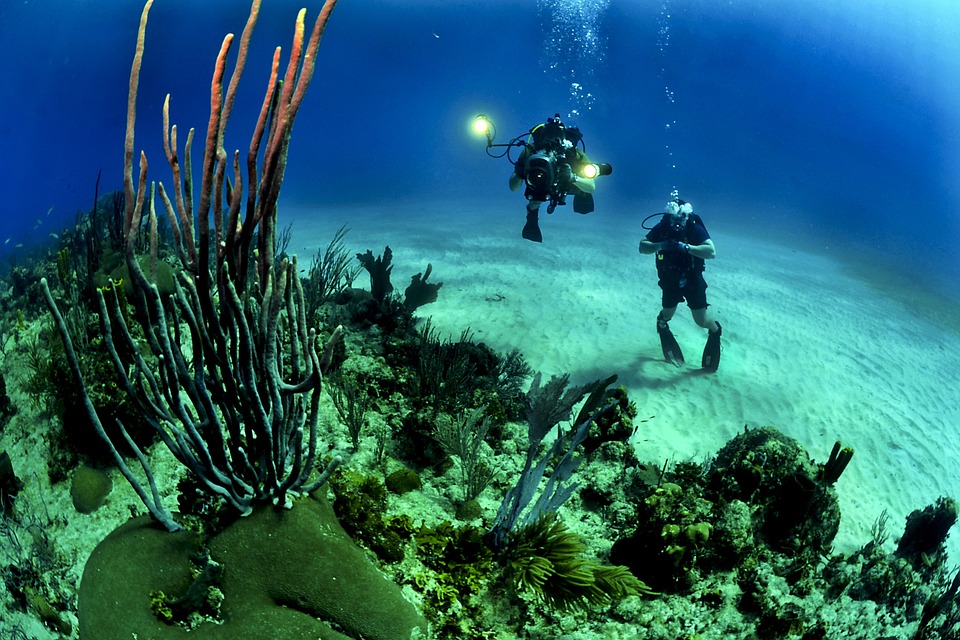 scuba diving sites