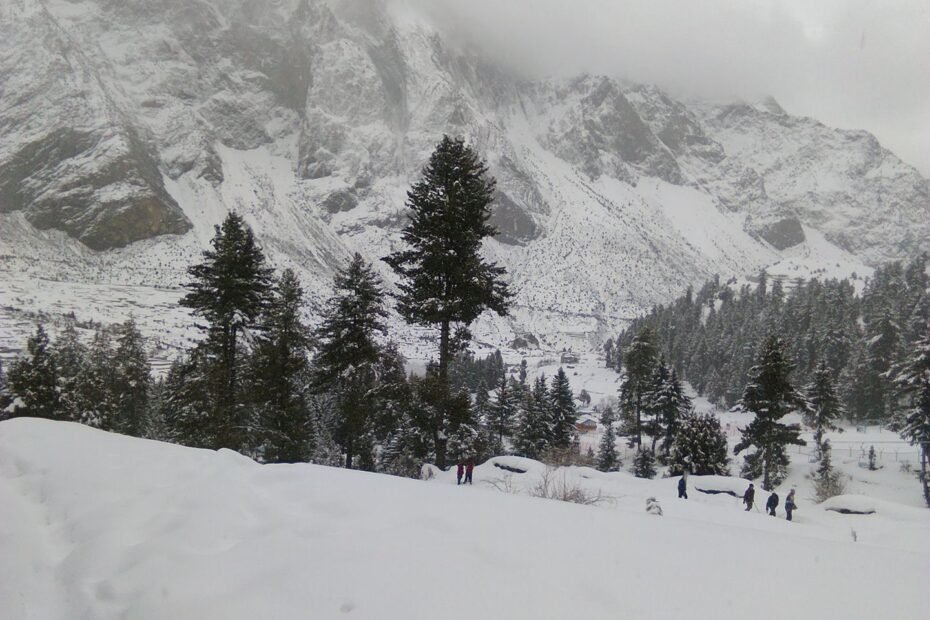 Naltar Valley Snowfall